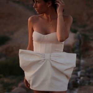 Zara voluminous bow skirt size small nwt